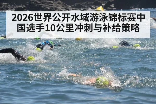 2026世界公开水域游泳锦标赛中国选手10公里冲刺与补给策略